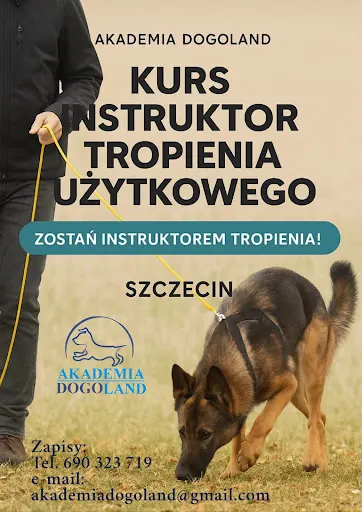 Akademia Dogoland - warsztaty , szkolenia dla psów